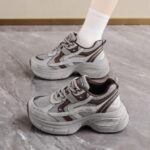 Daddy shoes for women 2025 autumn new mesh breathable retro versatile thick bottom heightened comfortable casual sports shoes - Image 6