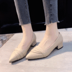 2025 Spring and Autumn new thick heel pointed toe shoes