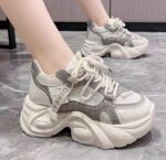 Popular round-toe lace-up platform sneakers for women, new autumn 2025 style, trendy and versatile chunky sneakers.